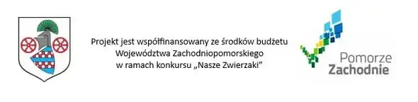 Gmina Tuczno dofinansuje sterylizację i kastrację zwierząt. Ruszył nabór wniosków