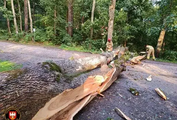 Silny wiatr i nawałnica nad powiatem wałeckim – strażacy interweniowali wielokrotnie